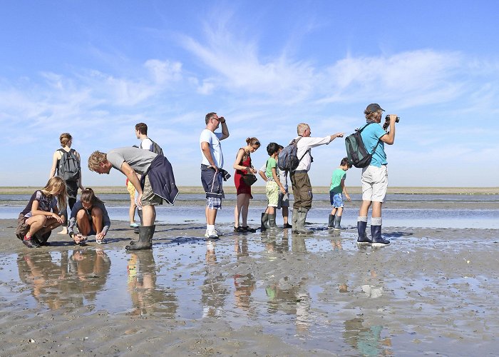 De Schorren Natuurmonumenten - VVV Texel photo