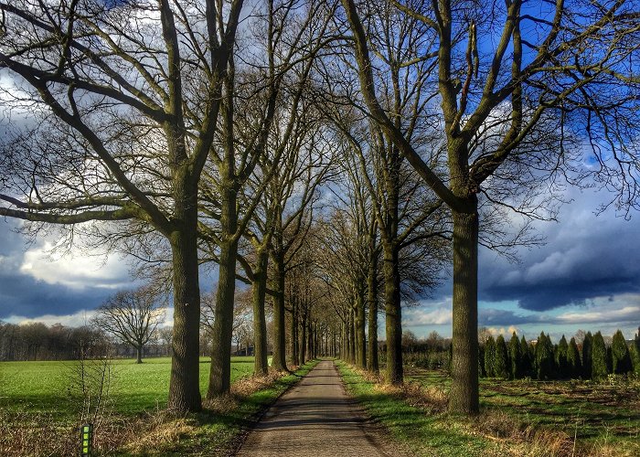 Midden Brabant G & CC Visit Esbeek: 2024 Travel Guide for Esbeek, North Brabant | Expedia photo