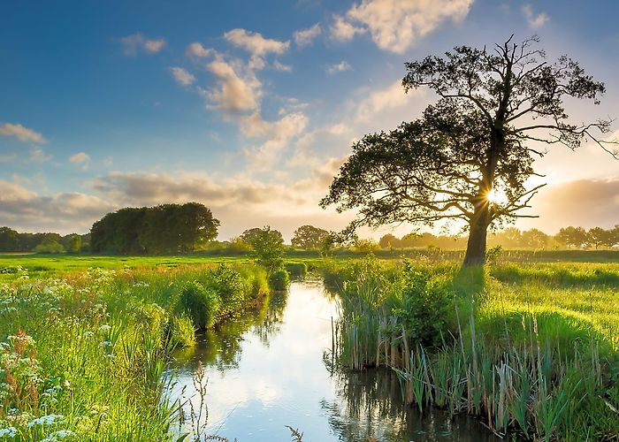 Westerwolde Golf Vakantiepark De Sikkenberg, Onstwedde, Groningen | Pitchup.com photo