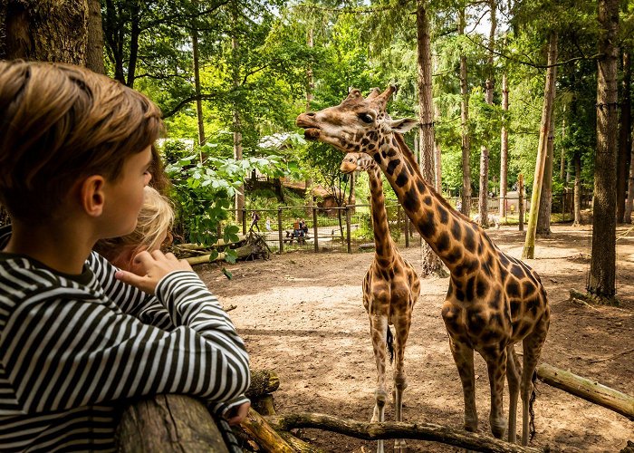 Dierenpark Amersfoort Modern solutions securing a zoo with a rich history - iLOQ photo