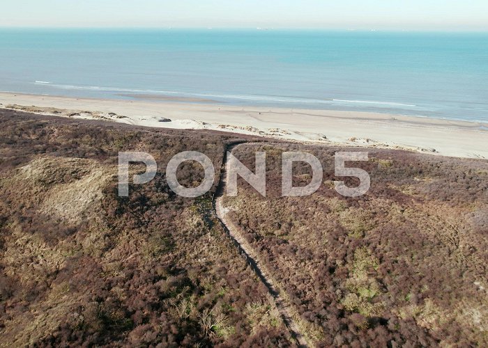 Meijendel Tracks On Nature Park Of Meijendel Dunes... | Stock Video | Pond5 photo