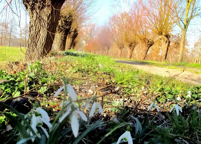 Natuurcentrum De Specht Op weg naar Brabant wordt de wereld warmer, Inniger leven doet ... photo