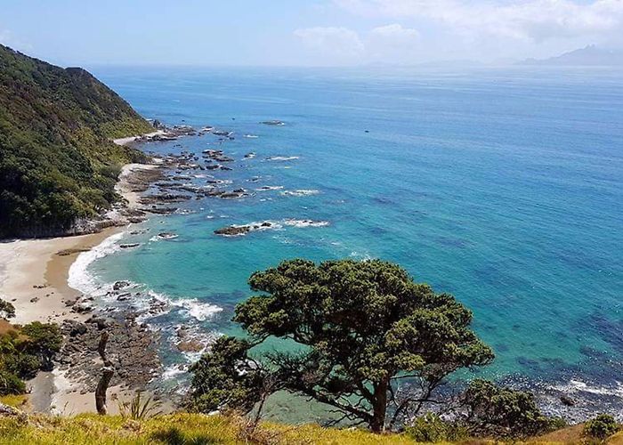 Lochiel Estate AHURU HOUSE (Mangawhai) - B&B Reviews, Photos, Rate Comparison ... photo