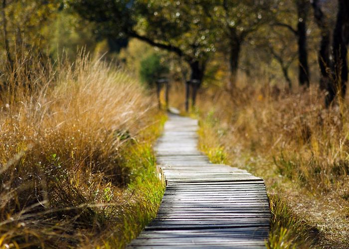 Acme Park Local Trails to Explore This Weekend | San Antonio Moms photo