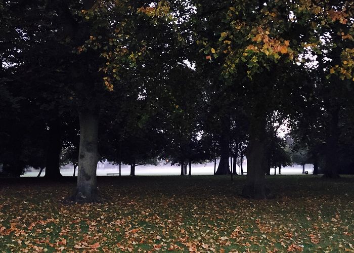 Waltham Windmill Golf Club Visit Grimsby: 2024 Travel Guide for Grimsby, England | Expedia photo