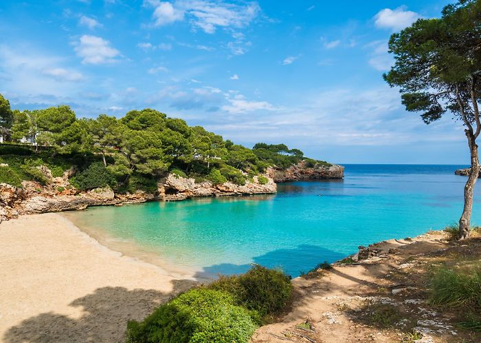 Cala Santanyi Visit Cala d'Or: 2024 Travel Guide for Cala d'Or, Santanyi | Expedia photo