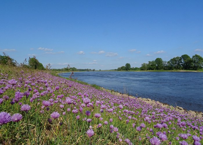 Magdeburg Water Bridge Visit Wolmirstedt: 2024 Travel Guide for Wolmirstedt, Saxony ... photo