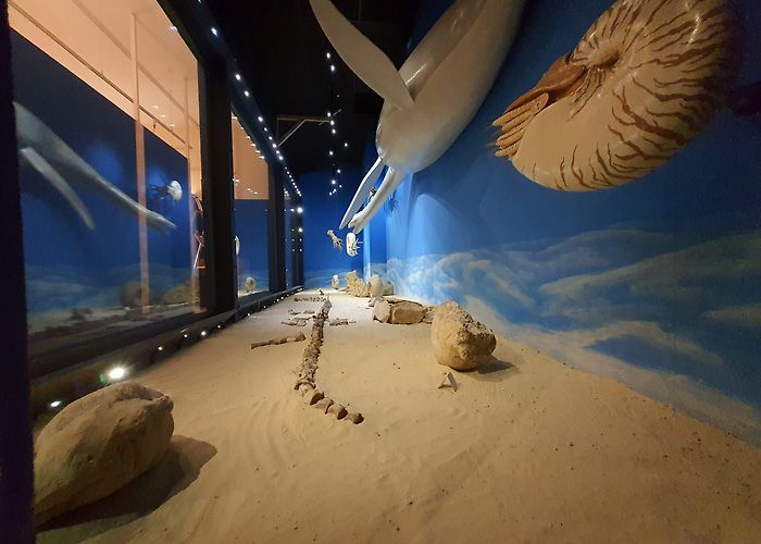 Musée Vert Veron de Forbonnais Le musée Vert de la ville du Mans a signé la charte ! – Môm'Art photo