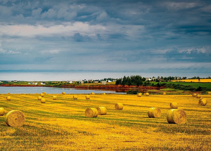 Anne of Green Gables Museum Visit Stanley Bridge: 2024 Travel Guide for Stanley Bridge, Prince ... photo