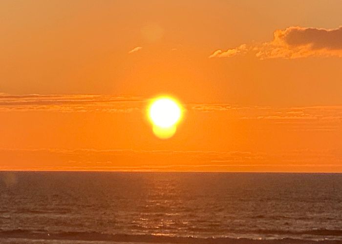 Park Parnassia 7 x beach escapes in The Netherlands (while waiting for Bali to ... photo