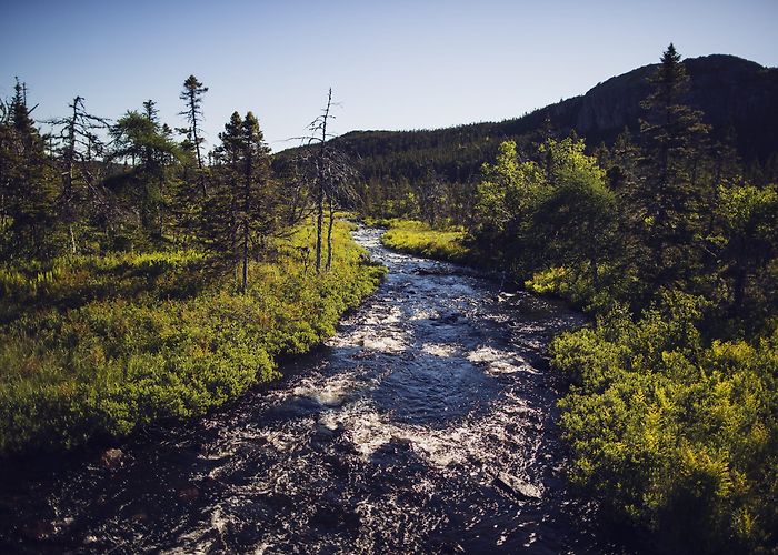 Butter Pot Provincial Park Butter Pot Provincial Park - ParksNL photo
