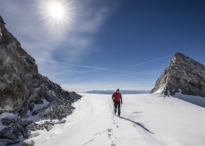 Alm-Express Visit Campo Tures: 2024 Travel Guide for Campo Tures, Trentino ... photo