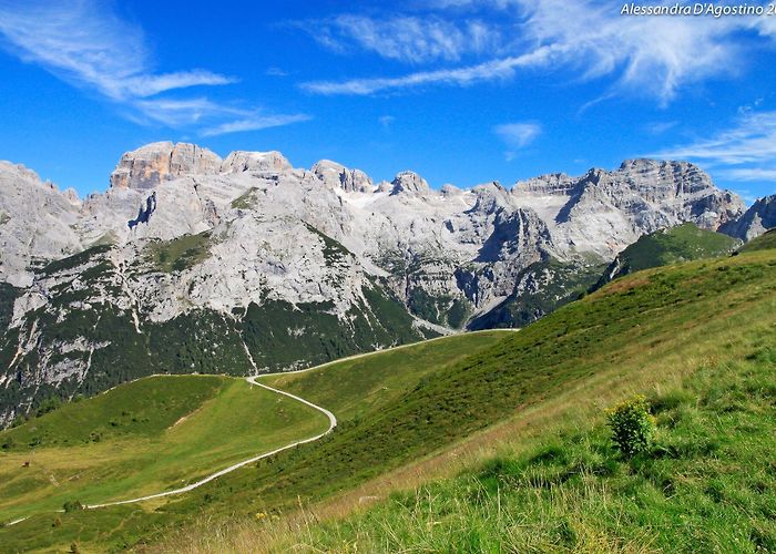 Doss del Sabion Doss del Sabion - Malga Grual - Pra Rodont - BERGFEX - Hiking ... photo