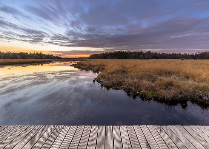 Stadsbroek Visit Assen: 2024 Travel Guide for Assen, Drenthe | Expedia photo