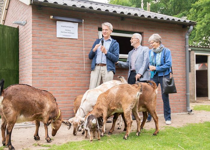 Kinderboerderij 't Woelige Nest SWD doneert aan Woelige Nest - Nieuwsblad De Kaap | Nieuws uit de ... photo