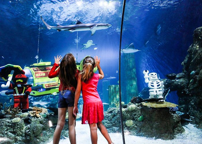 Legoland California LEGOLAND California | Theme Park & Vacation Destination photo