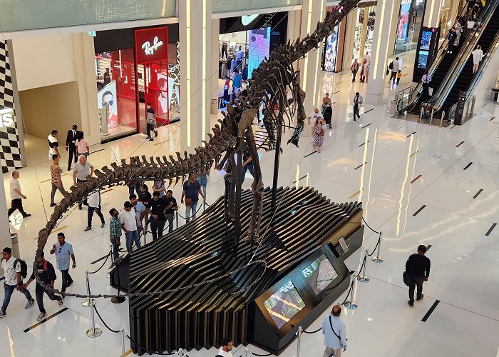 Dubai Mall Dino Boii is back after Vacation. : r/dubai photo