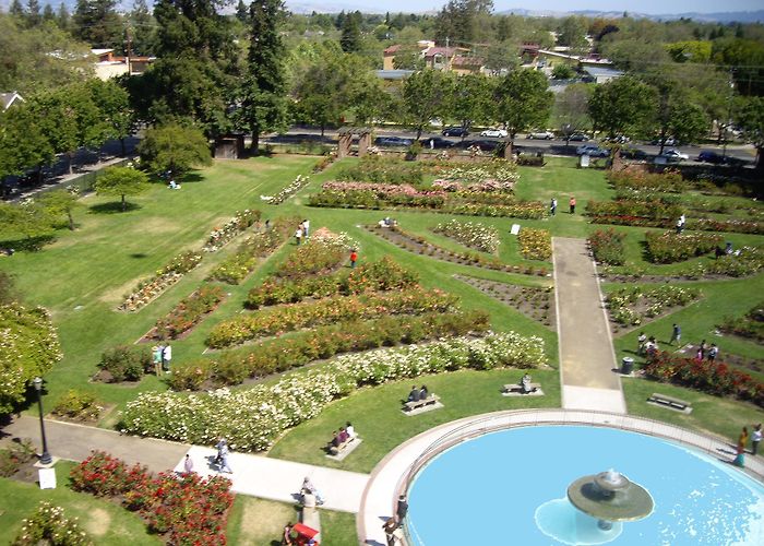 Municipal Rose Garden Municipal Rose Garden In Northern California Has 3,500 Rose Bushes photo