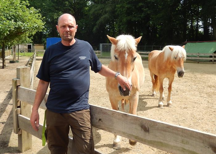 Kinderboerderij De Wesseler Kijk papa, die geit staat zomaar op de tafel • Wesselerbrink photo