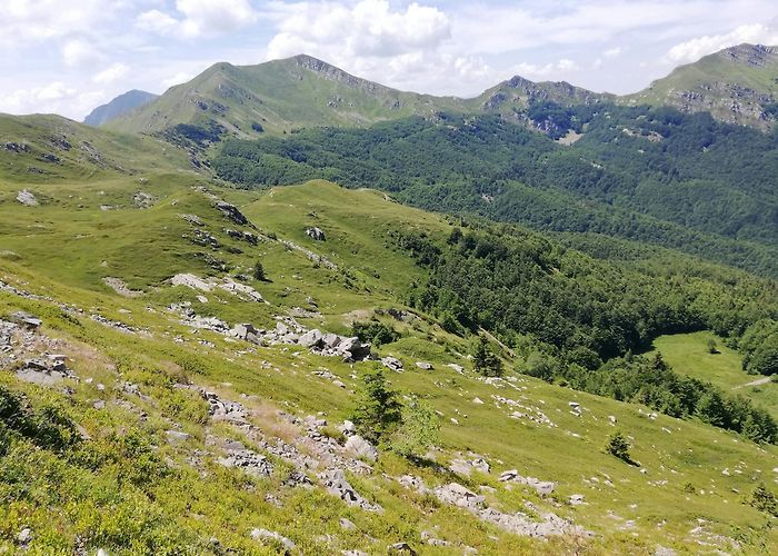 Val di Luce - Tre Potenze Mountain Biking in Pistoia | FATMAP photo