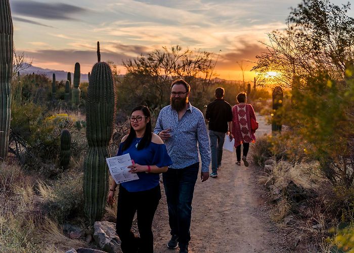 Arizona-Sonora Desert Museum Arizona-Sonora Desert Museum, Tucson, AZ - Zoo, Botanical Garden ... photo