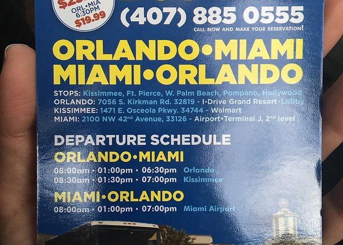 Osceola Flea and Farmers Market All Tour America Transportation - All You Need to Know BEFORE You ... photo