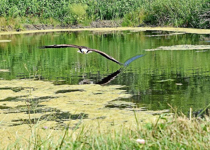 Eva Brook Donly Museum Visit Simcoe: 2024 Travel Guide for Simcoe, Hamilton | Expedia photo