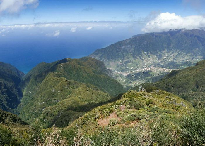 Laurel Forest Laurisilva Laurisilva and São Vicente photo