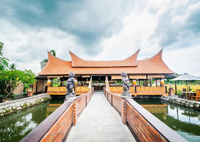 BALI photo