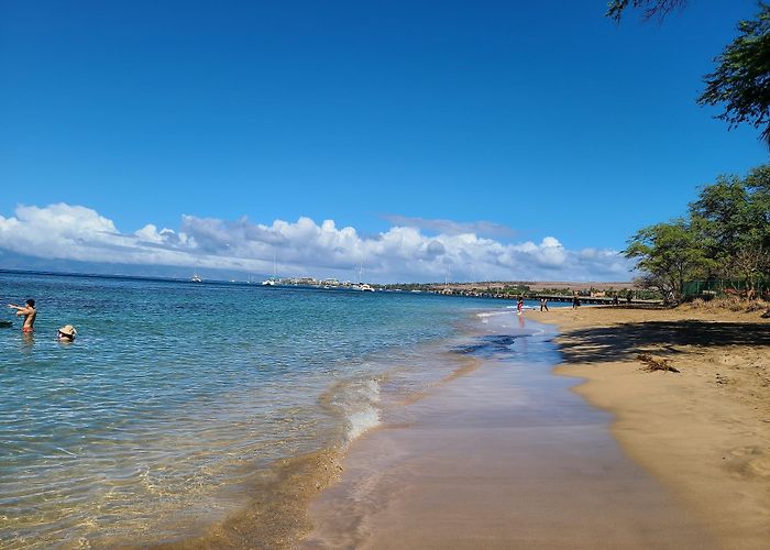 Lahaina photo