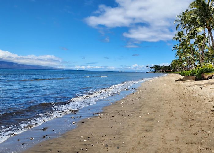 Lahaina photo