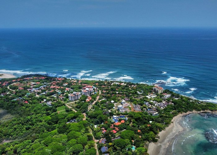 Tamarindo photo