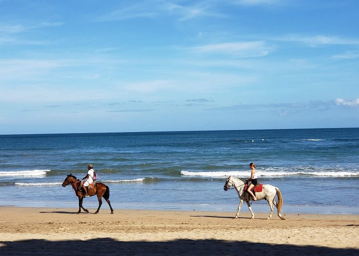 Tamarindo photo