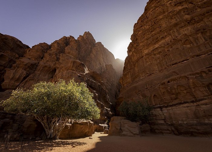 Wadi Rum photo