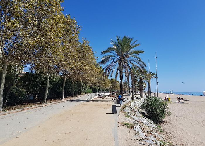 Calella photo