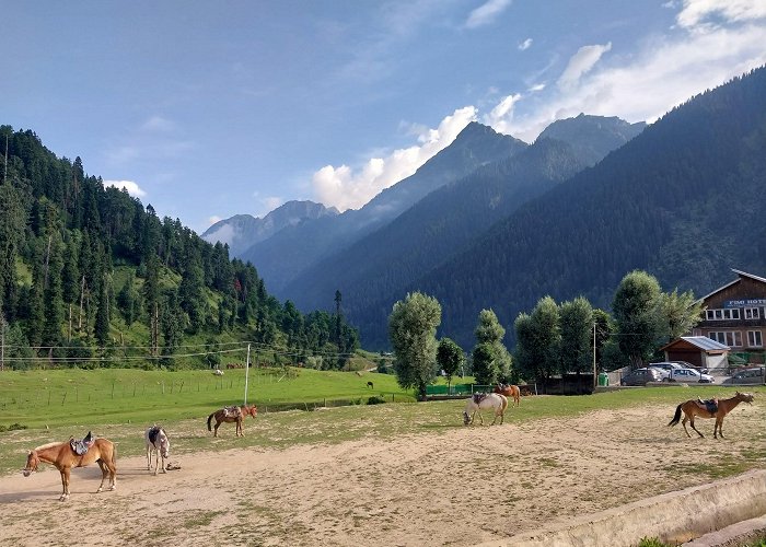 Pahalgam photo