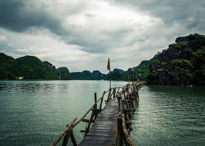 Cat Ba Island photo