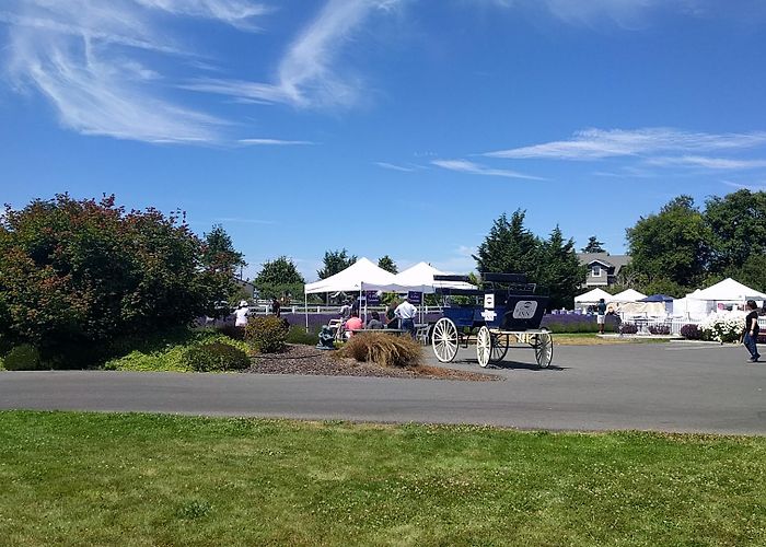 Sequim photo