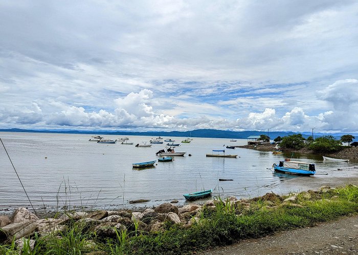 Puerto Jimenez photo