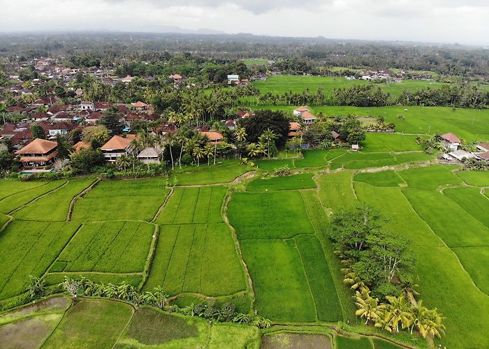 Gianyar (Bali) photo