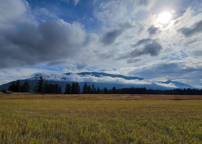 Columbia Falls photo