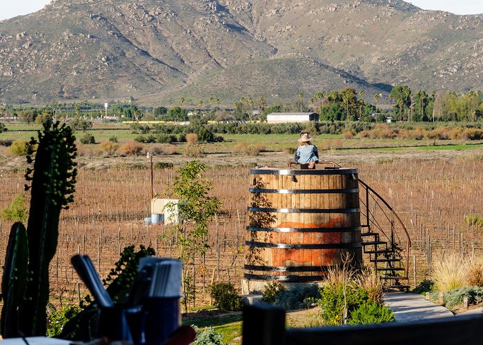 Valle de Guadalupe photo