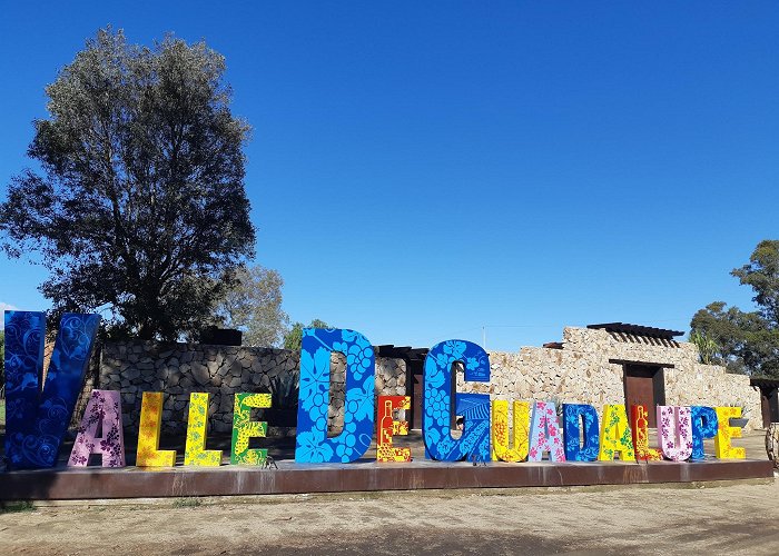 Valle de Guadalupe photo