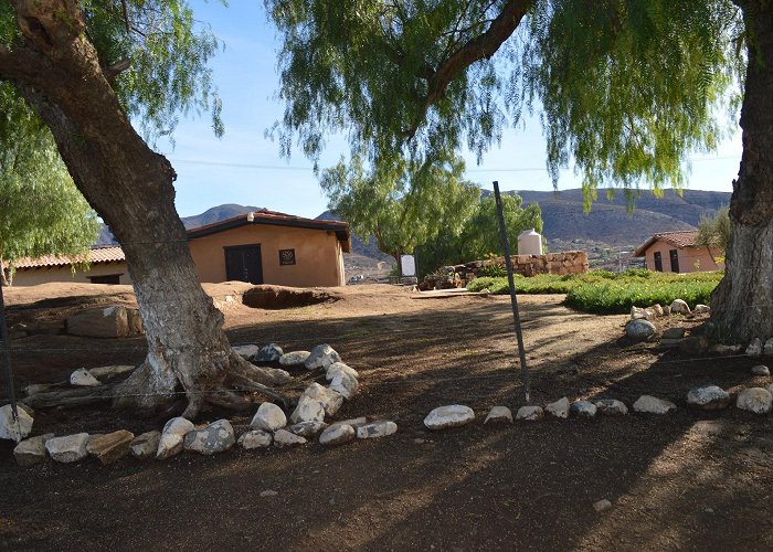 Valle de Guadalupe photo