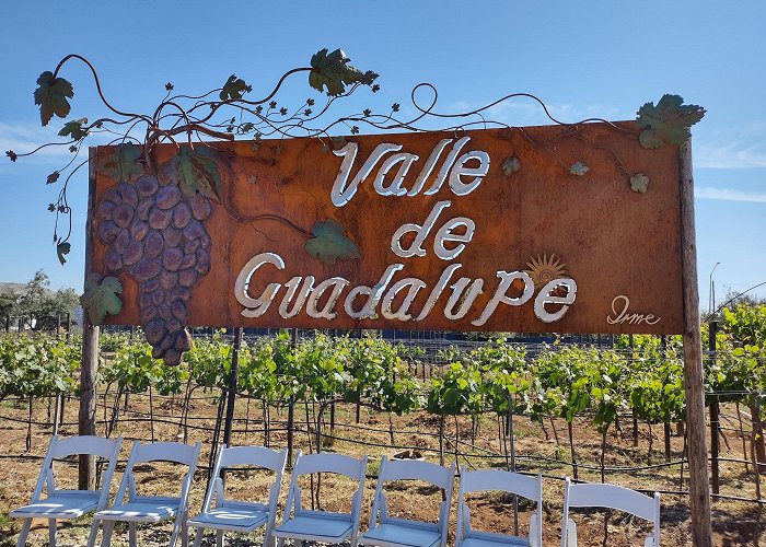 Valle de Guadalupe photo