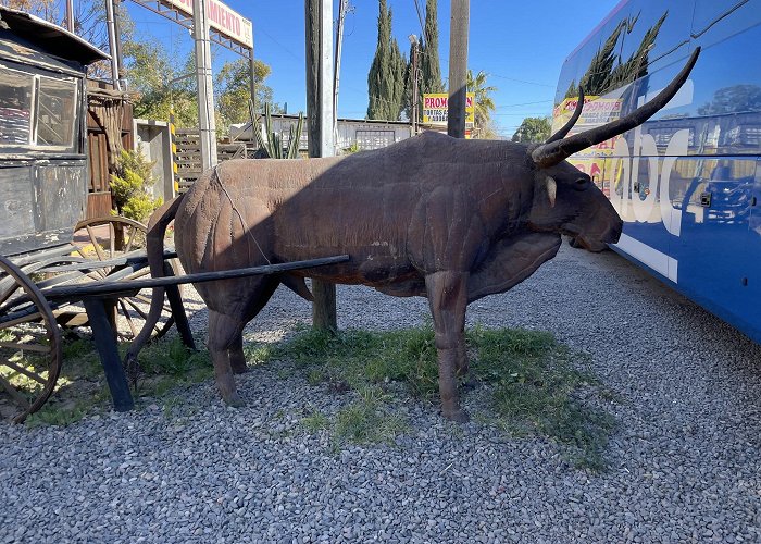 Valle de Guadalupe photo