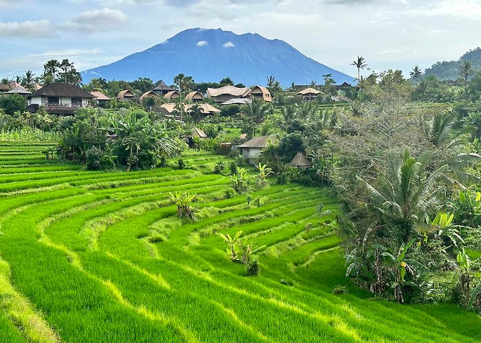 Sidemen (Bali) photo