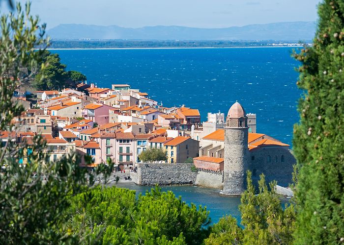 Collioure photo