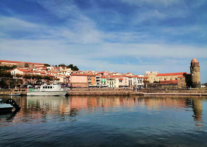 Collioure photo