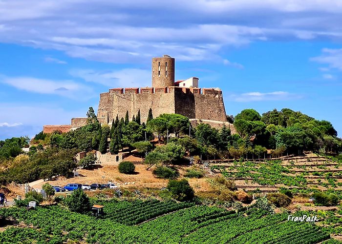 Collioure photo